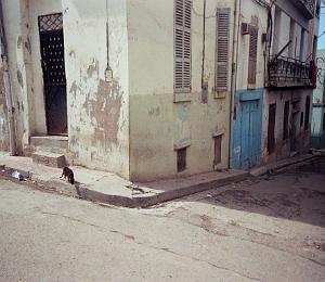 oran 006